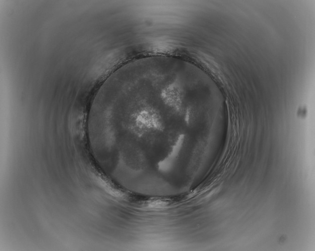 X0000094170462200710261113