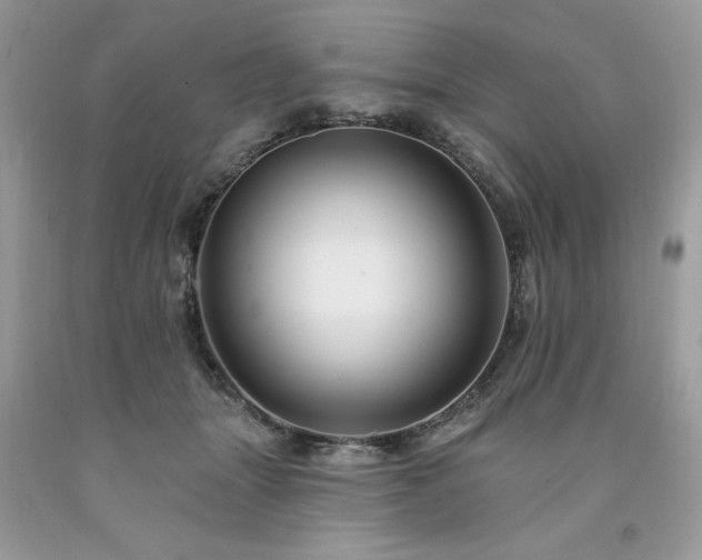 X0000094170463200710261113