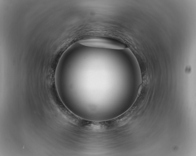 X0000094170464200710261113