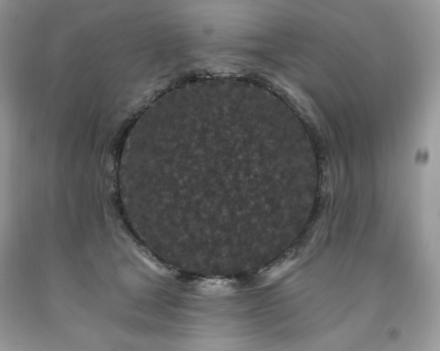 X0000094170465200710261113