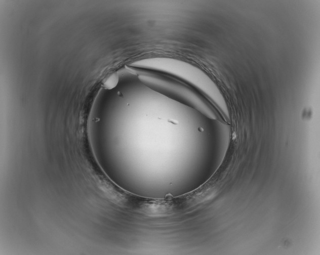 X0000094170466200710261113