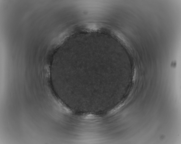 X0000094170467200710261113
