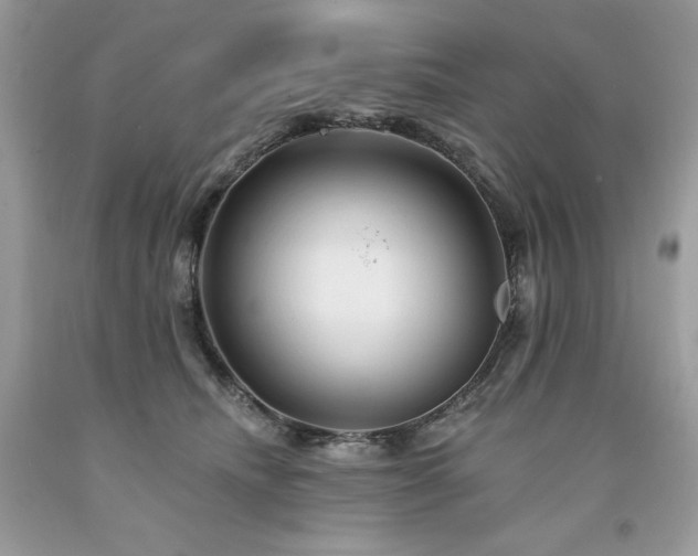 X0000094170468200710261113