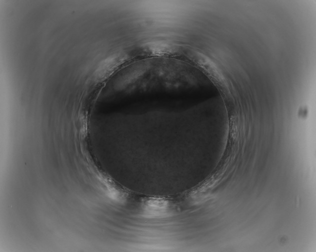 X0000094170471200710261113