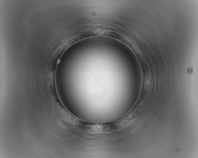X0000094170473200710261113