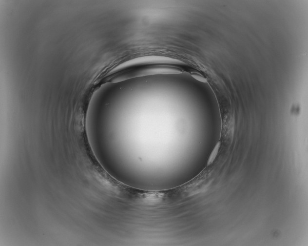 X0000094170474200710261113