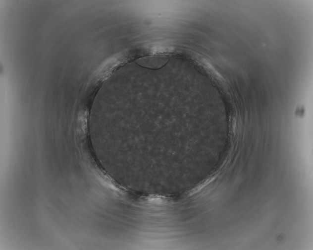 X0000094170475200710261113