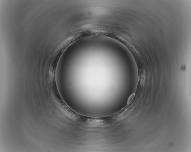 X0000094170476200710261113