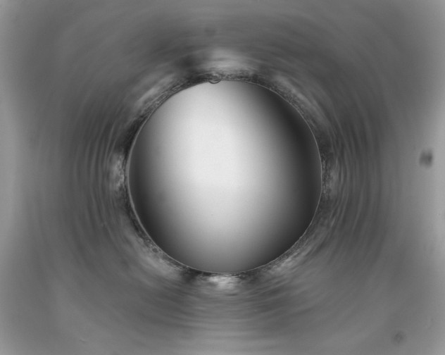 X0000094170478200710261113