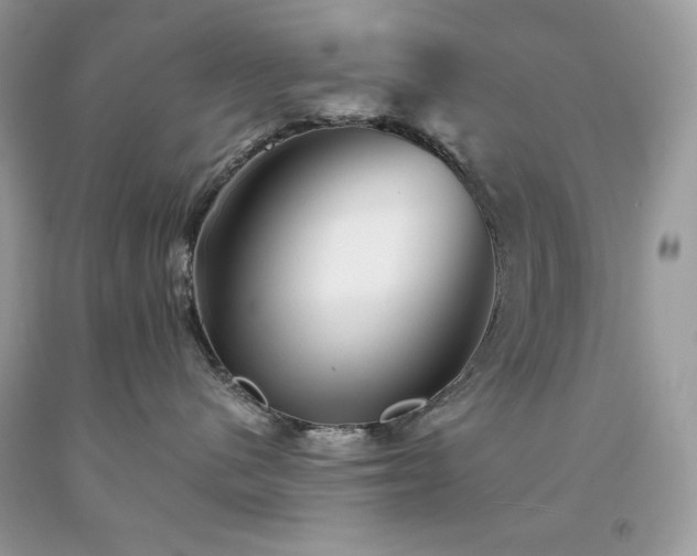 X0000094170480200710261113