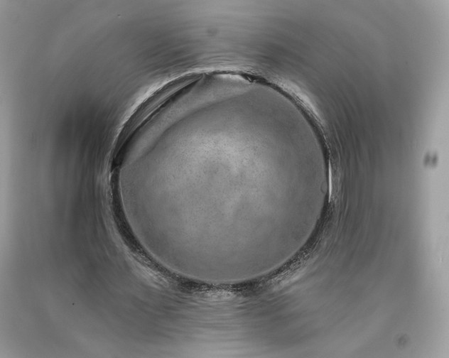 X0000094170483200710261112