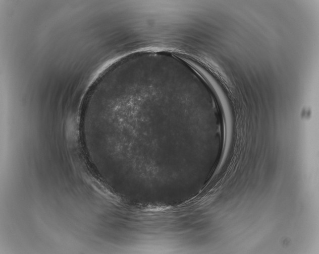 X0000094170484200710261112