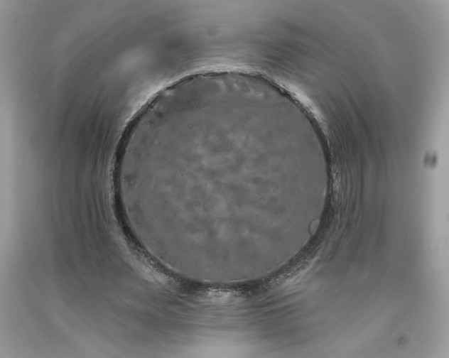 X0000094170487200710261112