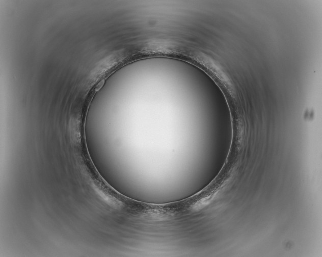X0000094170489200710261112