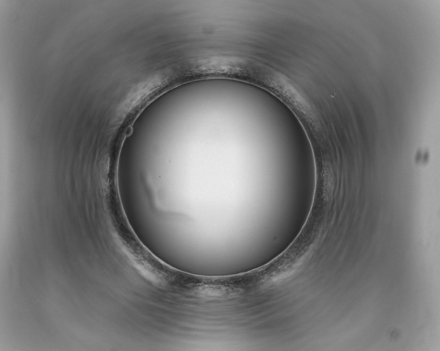 X0000094170490200710261112