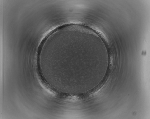 X0000094170492200710261112
