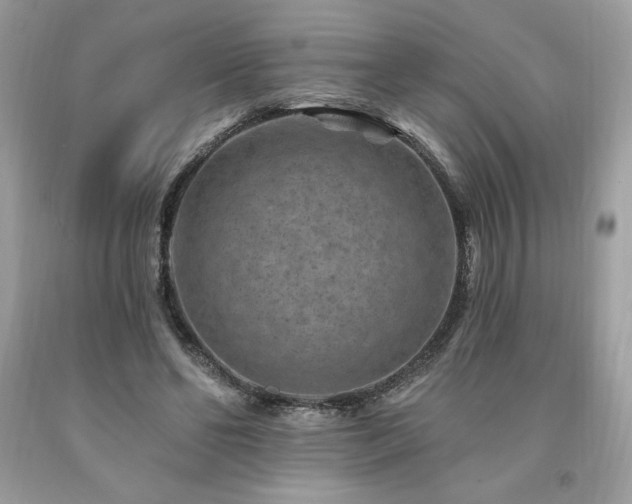 X0000094170494200710261112