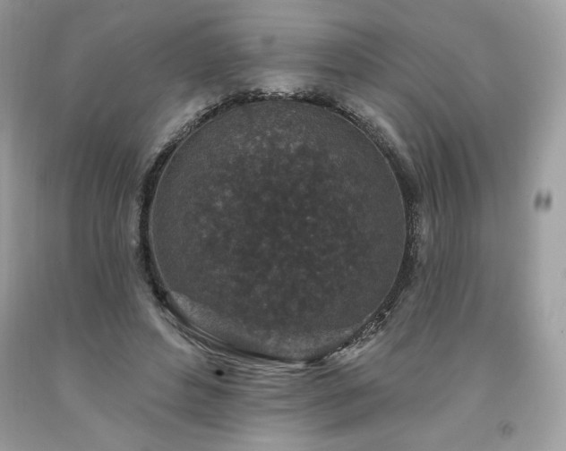 X0000094170496200710261112
