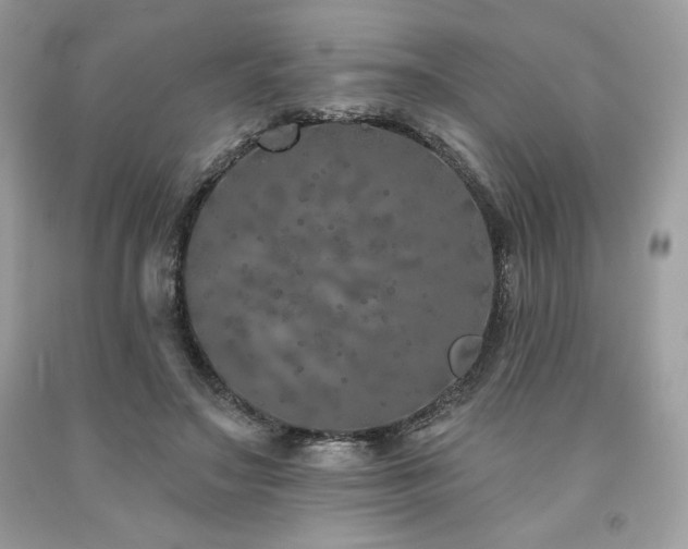 X0000094170499200710261112
