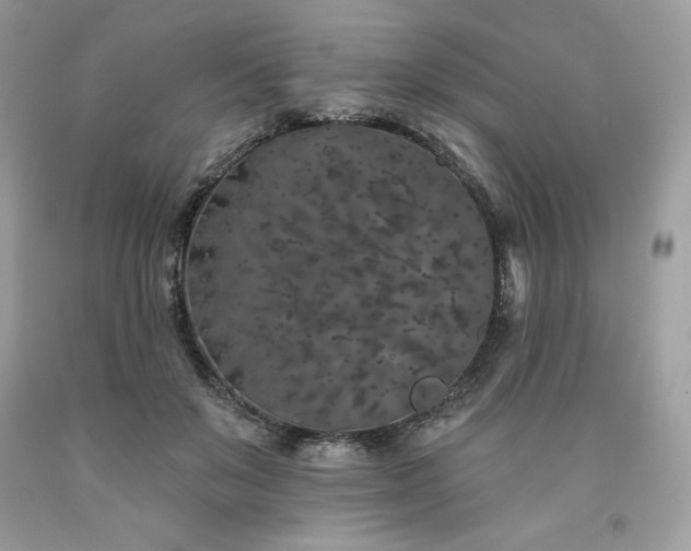 X0000094170503200710261112