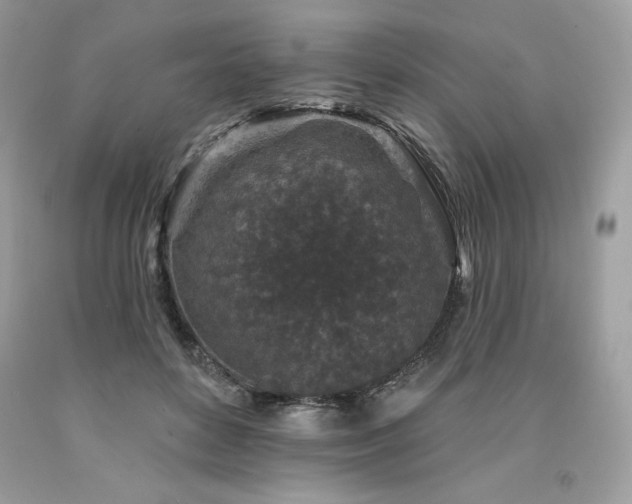 X0000094170504200710261112