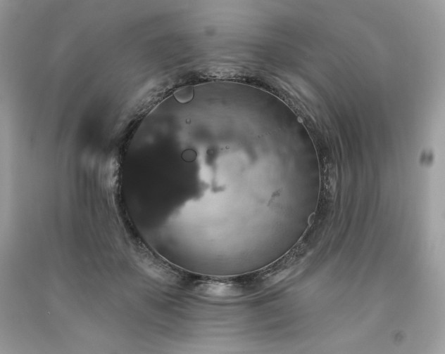X0000094170507200710261112
