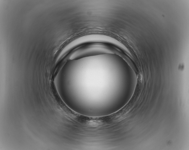 X0000094170508200710261112