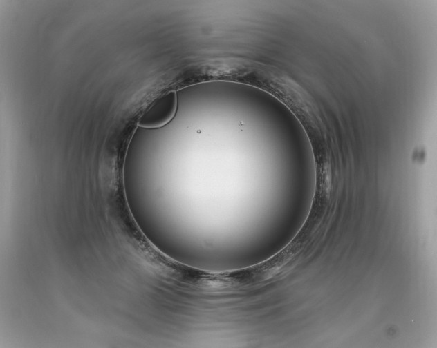 X0000094170510200710261112