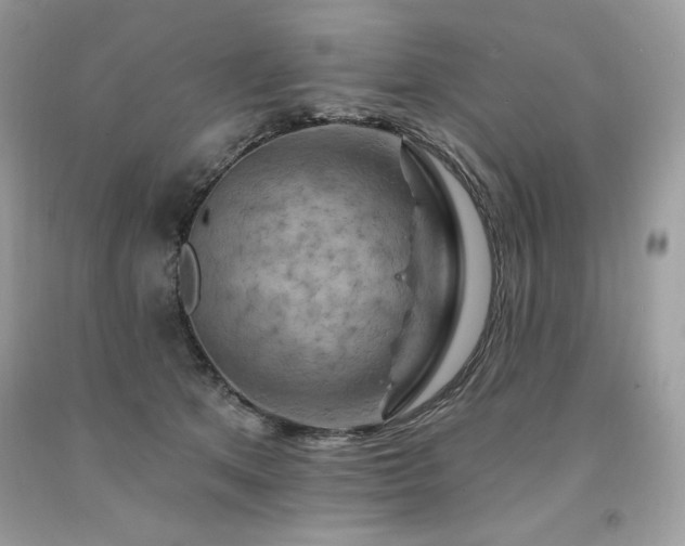X0000094170513200710261112