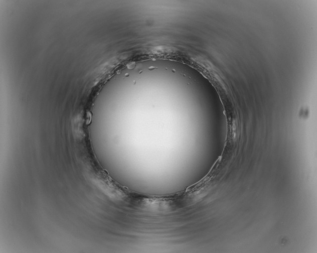 X0000094170520200710261112