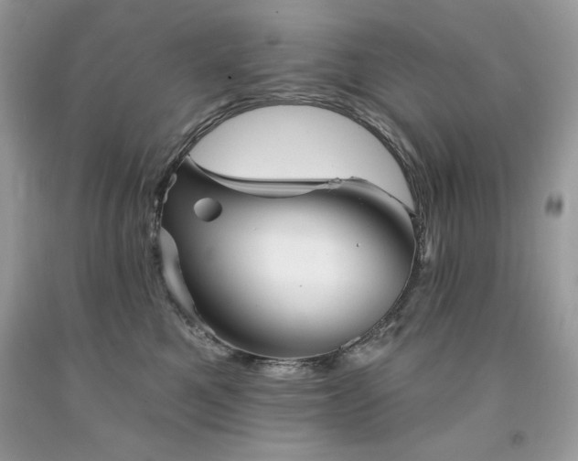 X0000094170521200710261112