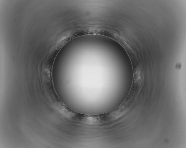 X0000094170522200710261112