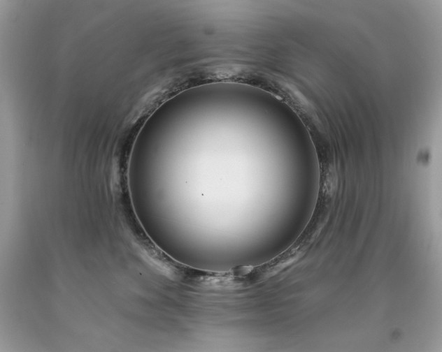 X0000094170524200710261112