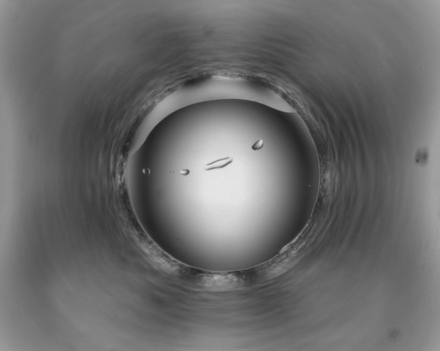 X0000094170525200710261112