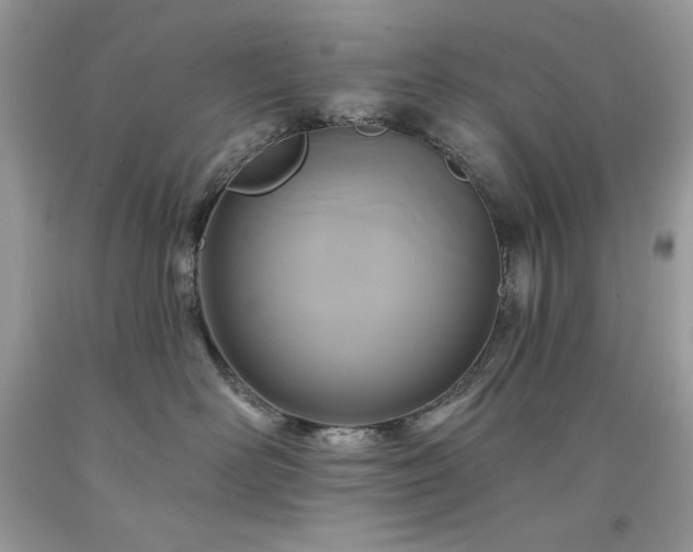 X0000094170526200710261112