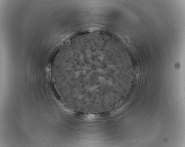 X0000094170527200710261112