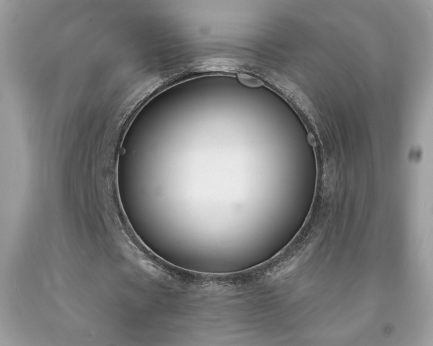 X0000094170529200710261111