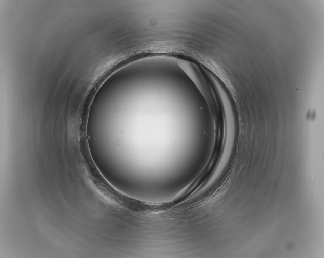 X0000094170530200710261111