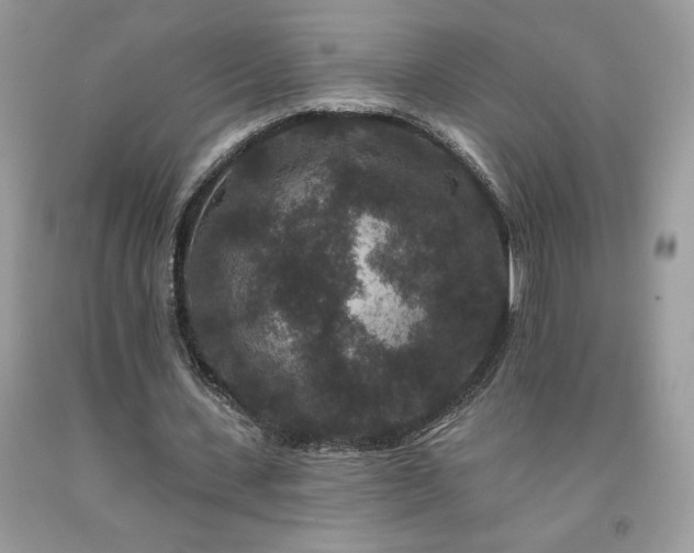 X0000094170531200710261111