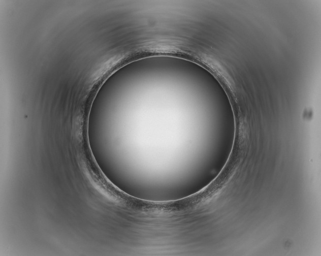 X0000094170533200710261111