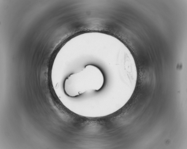 X0000094170534200710261111