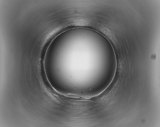X0000094170535200710261111
