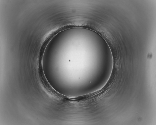 X0000094170536200710261111