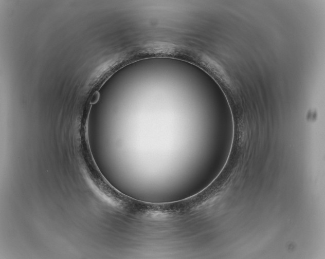 X0000094170538200710261111
