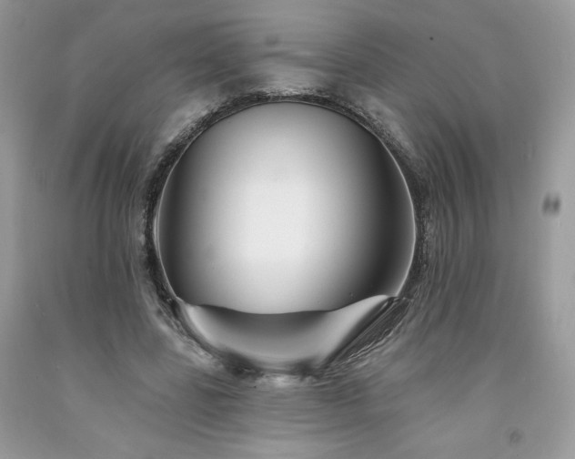 X0000094170539200710261111