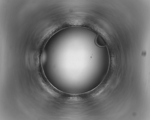 X0000094170541200710261111