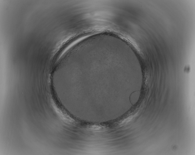X0000094170542200710261111