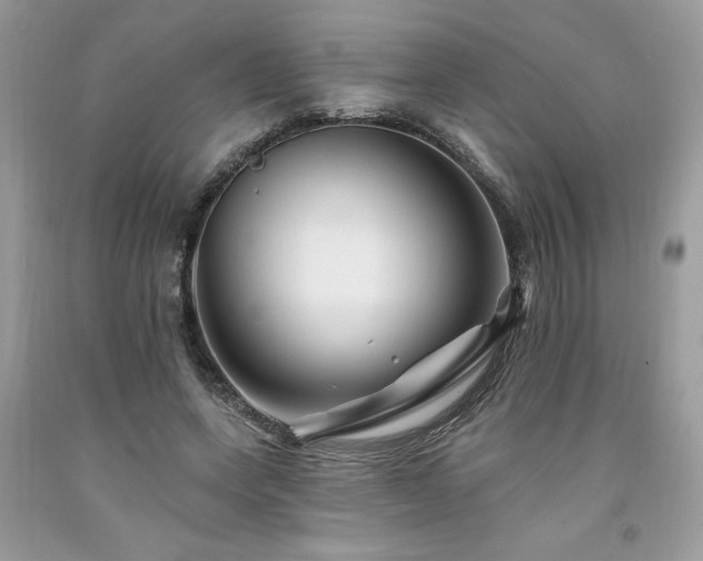 X0000094170543200710261111