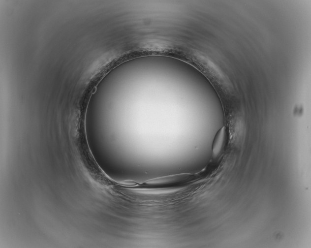 X0000094170544200710261111
