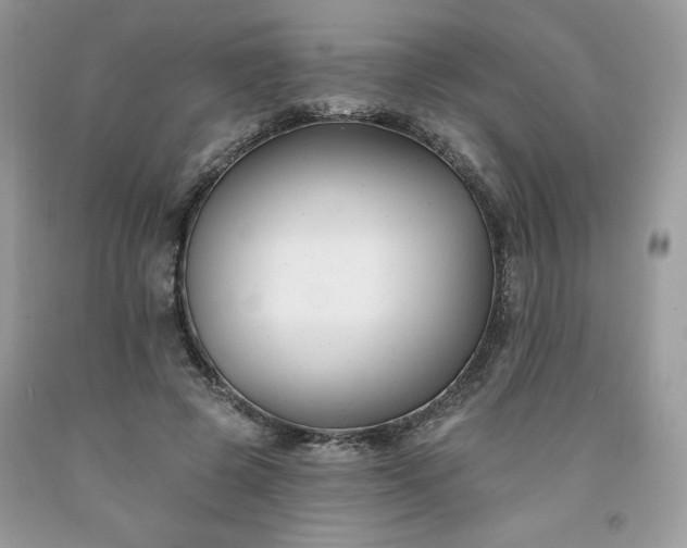X0000094170545200710261111